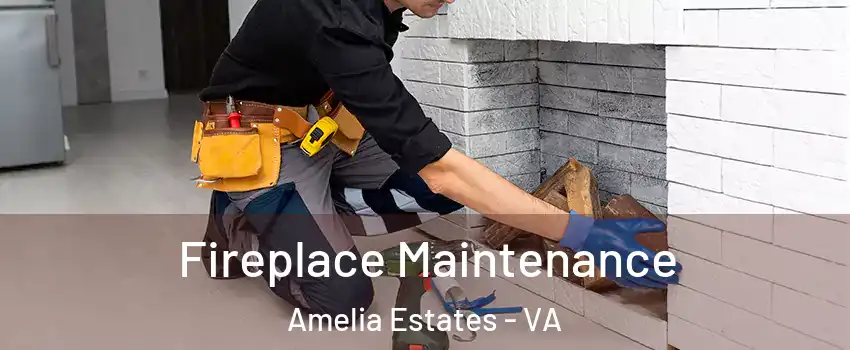 Fireplace Maintenance Amelia Estates - VA