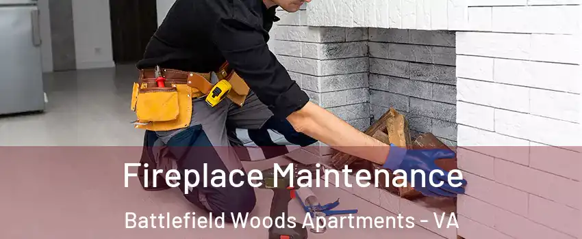Fireplace Maintenance Battlefield Woods Apartments - VA