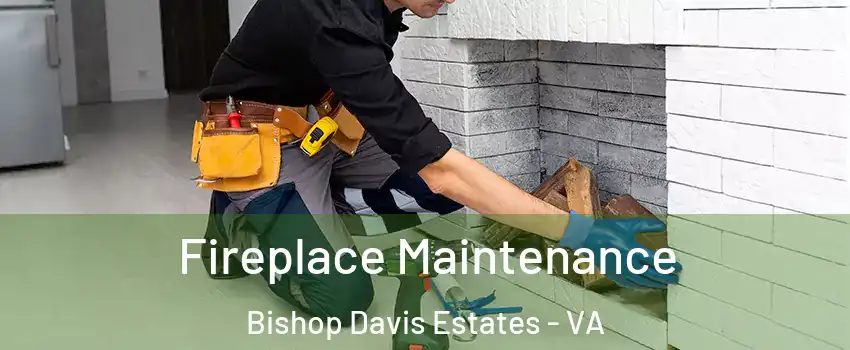 Fireplace Maintenance Bishop Davis Estates - VA