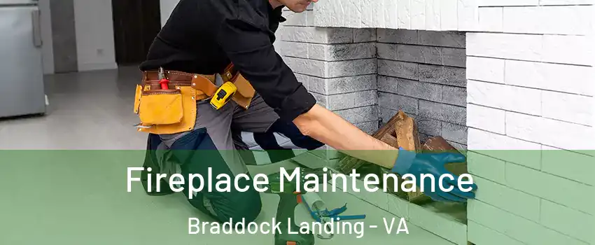 Fireplace Maintenance Braddock Landing - VA