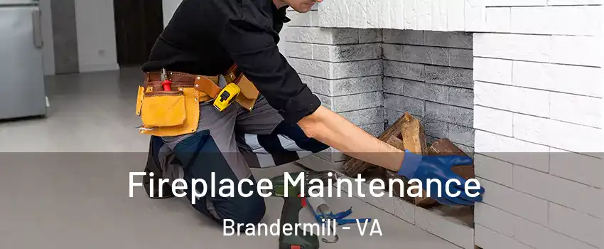 Fireplace Maintenance Brandermill - VA