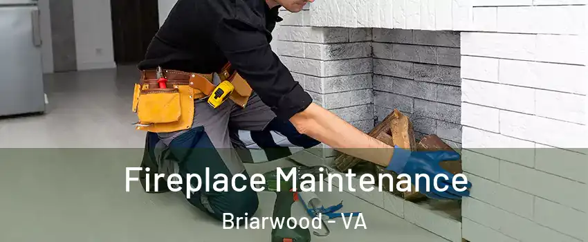 Fireplace Maintenance Briarwood - VA