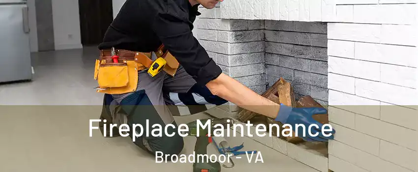 Fireplace Maintenance Broadmoor - VA