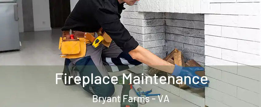 Fireplace Maintenance Bryant Farms - VA
