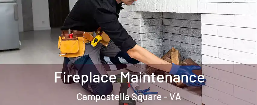 Fireplace Maintenance Campostella Square - VA
