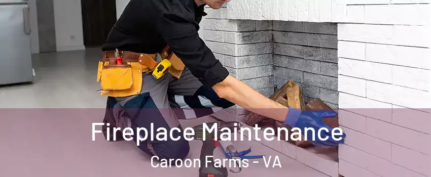 Fireplace Maintenance Caroon Farms - VA