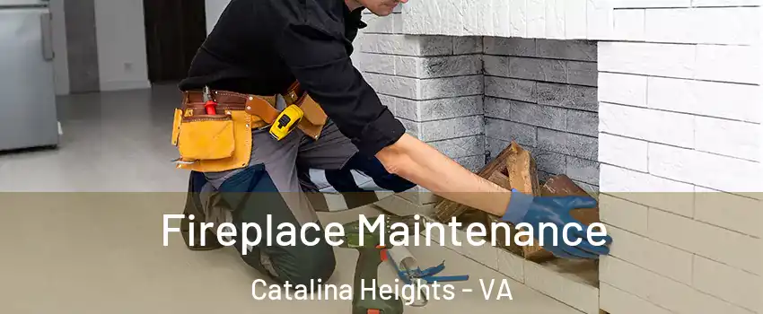 Fireplace Maintenance Catalina Heights - VA