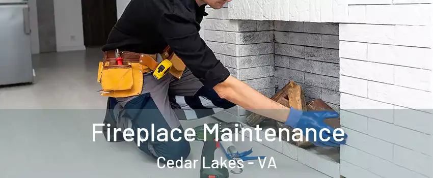 Fireplace Maintenance Cedar Lakes - VA