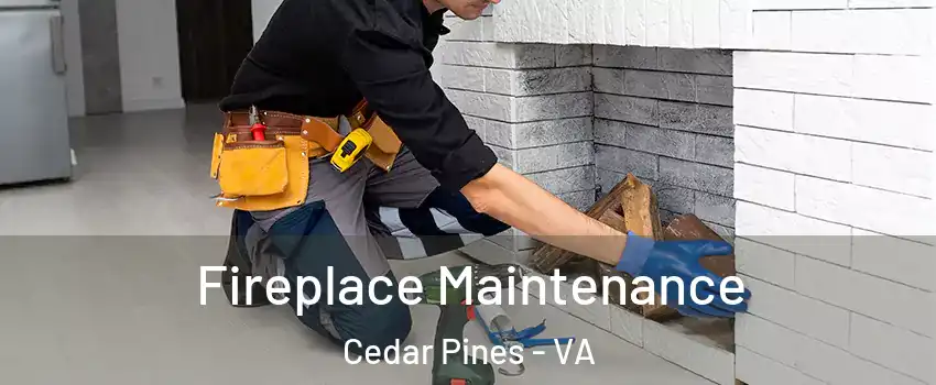 Fireplace Maintenance Cedar Pines - VA