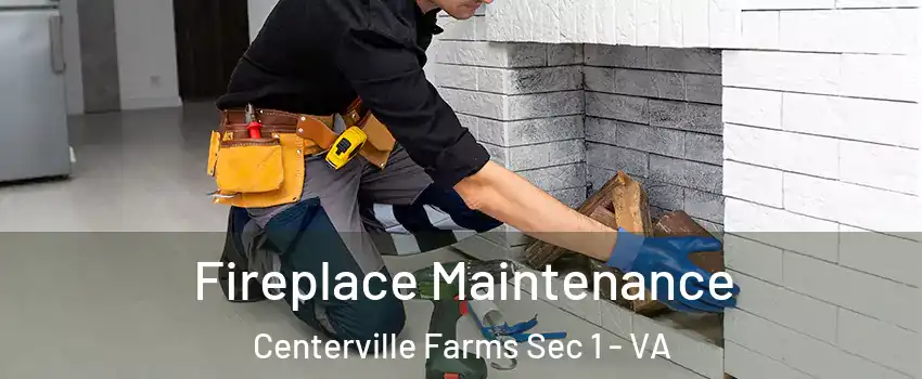 Fireplace Maintenance Centerville Farms Sec 1 - VA