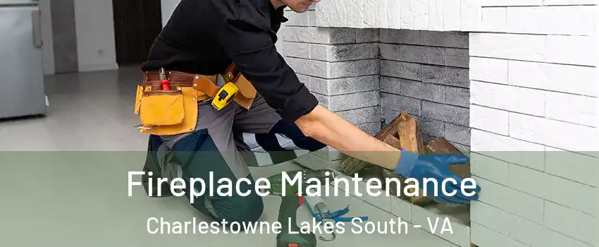 Fireplace Maintenance Charlestowne Lakes South - VA