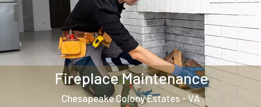 Fireplace Maintenance Chesapeake Colony Estates - VA