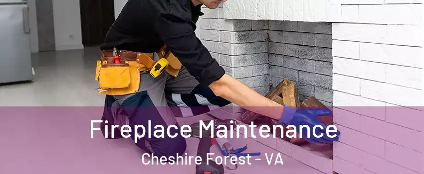 Fireplace Maintenance Cheshire Forest - VA