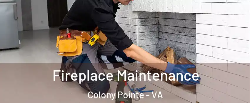 Fireplace Maintenance Colony Pointe - VA