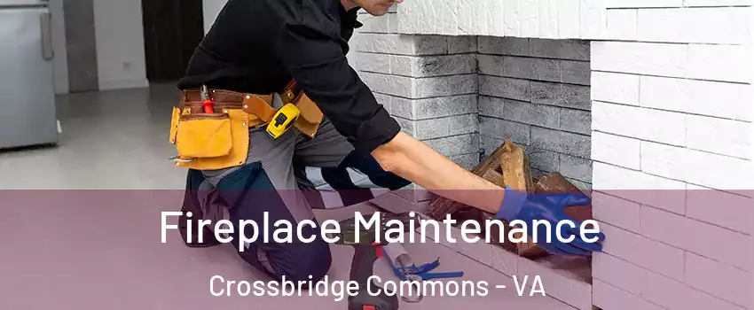 Fireplace Maintenance Crossbridge Commons - VA