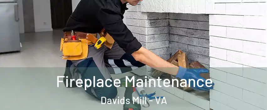Fireplace Maintenance Davids Mill - VA