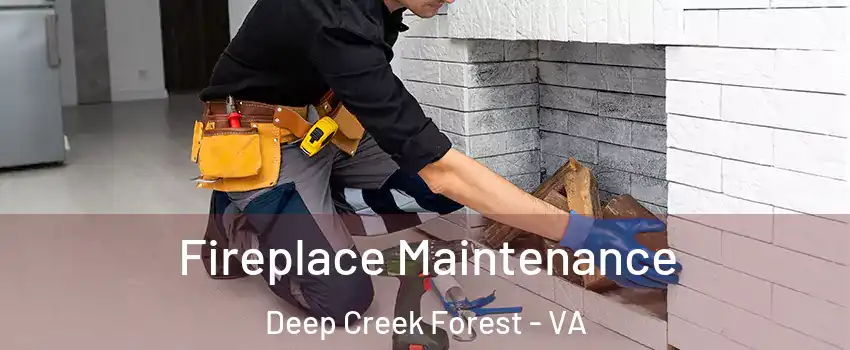 Fireplace Maintenance Deep Creek Forest - VA