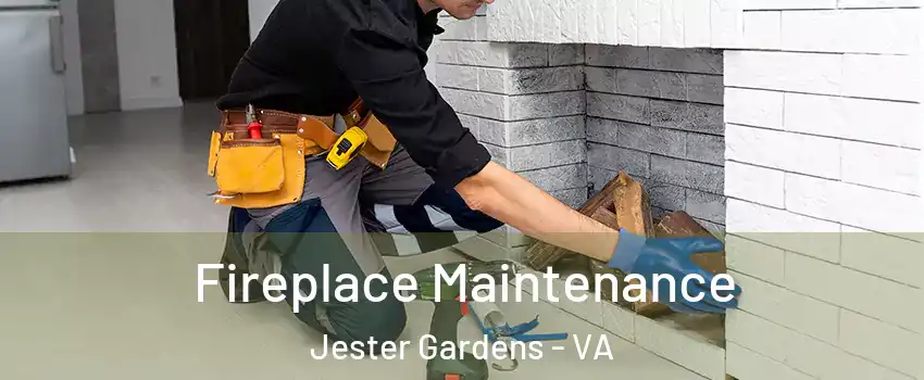Fireplace Maintenance Jester Gardens - VA