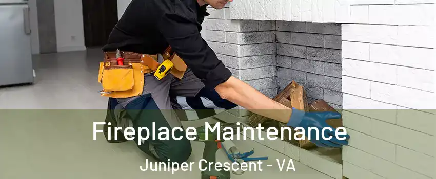 Fireplace Maintenance Juniper Crescent - VA