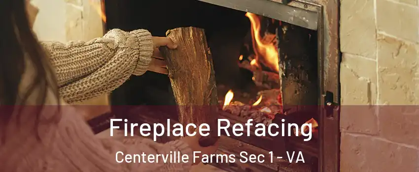 Fireplace Refacing Centerville Farms Sec 1 - VA
