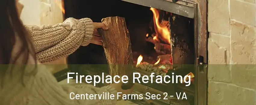 Fireplace Refacing Centerville Farms Sec 2 - VA