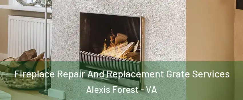 Fireplace Repair And Replacement Grate Services Alexis Forest - VA