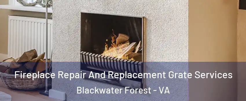 Fireplace Repair And Replacement Grate Services Blackwater Forest - VA