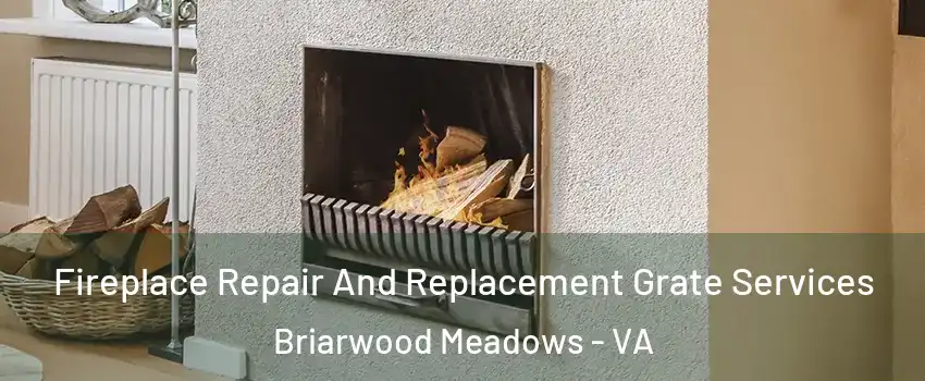 Fireplace Repair And Replacement Grate Services Briarwood Meadows - VA