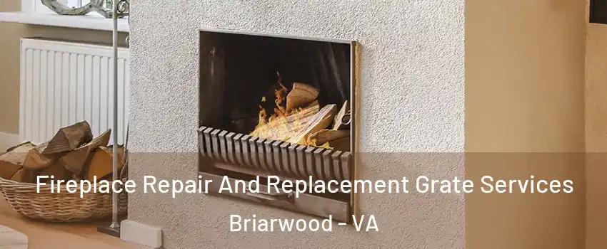 Fireplace Repair And Replacement Grate Services Briarwood - VA