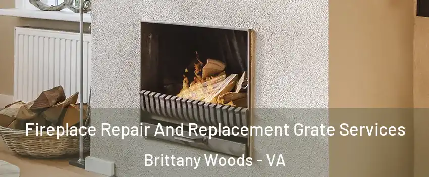 Fireplace Repair And Replacement Grate Services Brittany Woods - VA