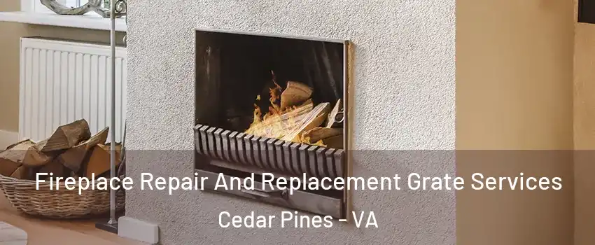 Fireplace Repair And Replacement Grate Services Cedar Pines - VA
