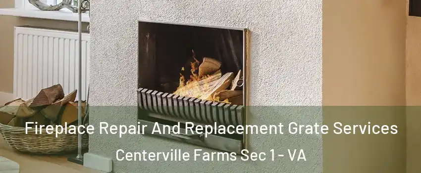 Fireplace Repair And Replacement Grate Services Centerville Farms Sec 1 - VA