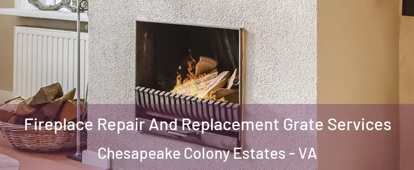 Fireplace Repair And Replacement Grate Services Chesapeake Colony Estates - VA