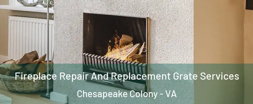 Fireplace Repair And Replacement Grate Services Chesapeake Colony - VA
