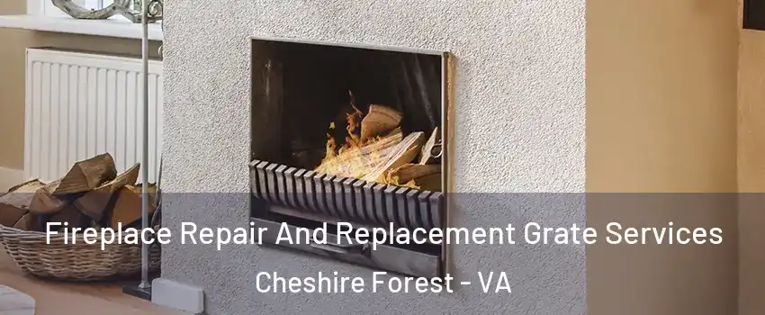 Fireplace Repair And Replacement Grate Services Cheshire Forest - VA