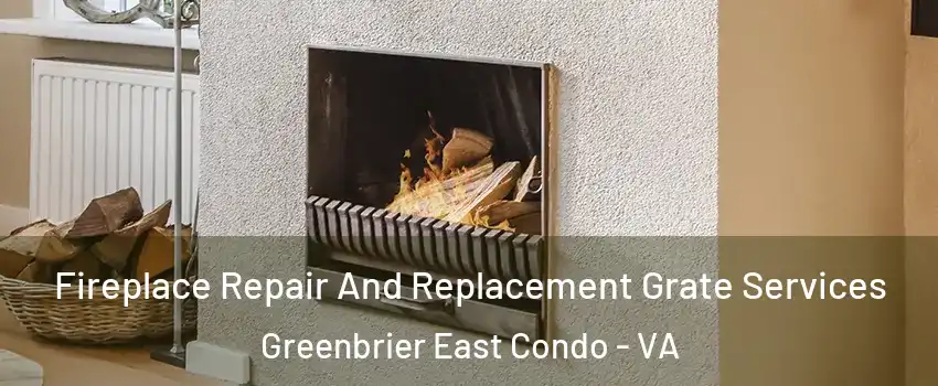 Fireplace Repair And Replacement Grate Services Greenbrier East Condo - VA