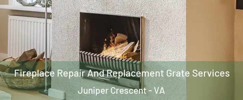 Fireplace Repair And Replacement Grate Services Juniper Crescent - VA