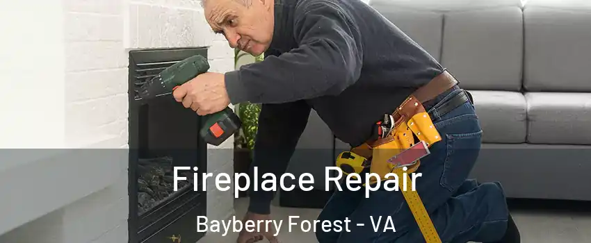 Fireplace Repair Bayberry Forest - VA