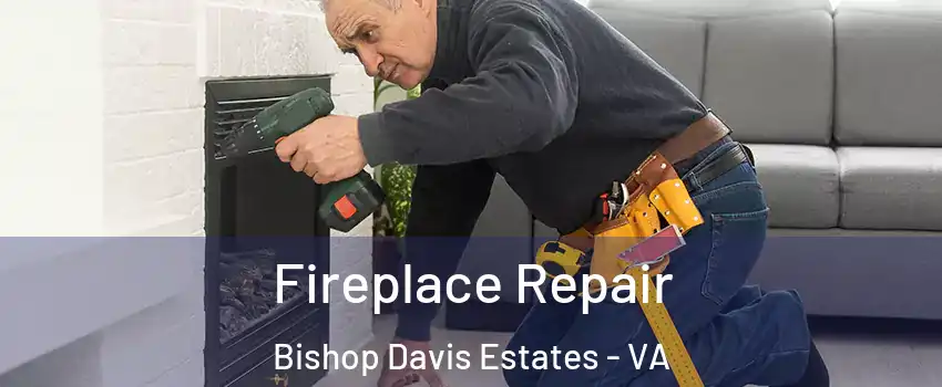 Fireplace Repair Bishop Davis Estates - VA