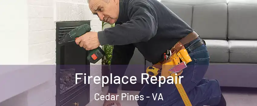 Fireplace Repair Cedar Pines - VA