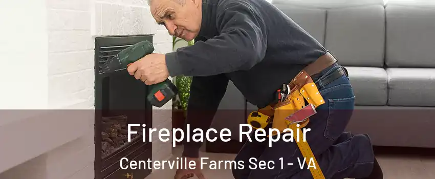 Fireplace Repair Centerville Farms Sec 1 - VA