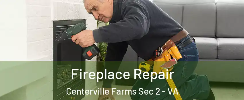 Fireplace Repair Centerville Farms Sec 2 - VA