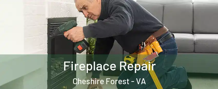 Fireplace Repair Cheshire Forest - VA