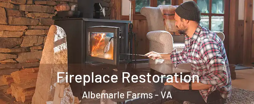 Fireplace Restoration Albemarle Farms - VA