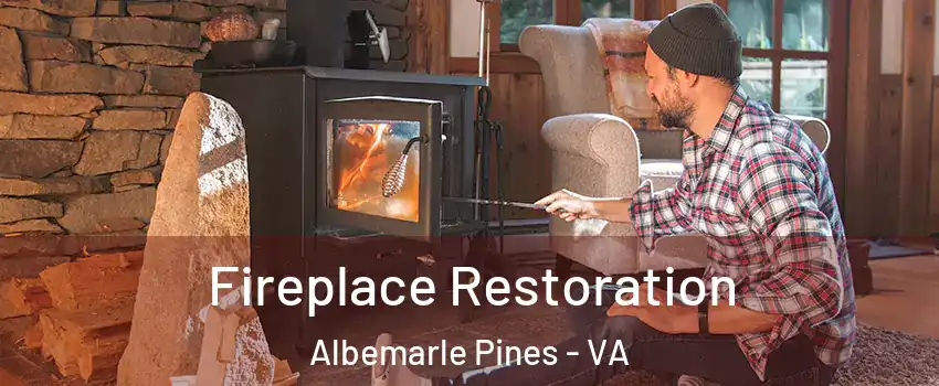 Fireplace Restoration Albemarle Pines - VA