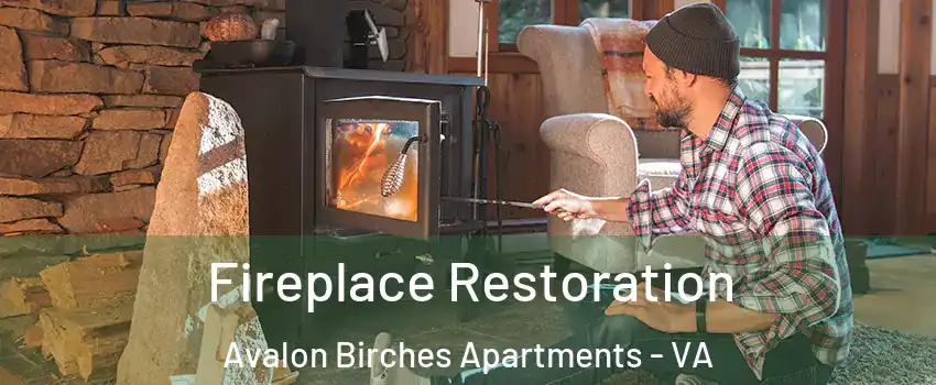 Fireplace Restoration Avalon Birches Apartments - VA