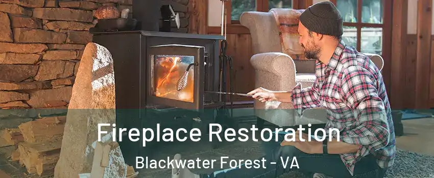 Fireplace Restoration Blackwater Forest - VA