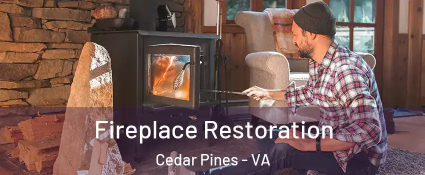 Fireplace Restoration Cedar Pines - VA