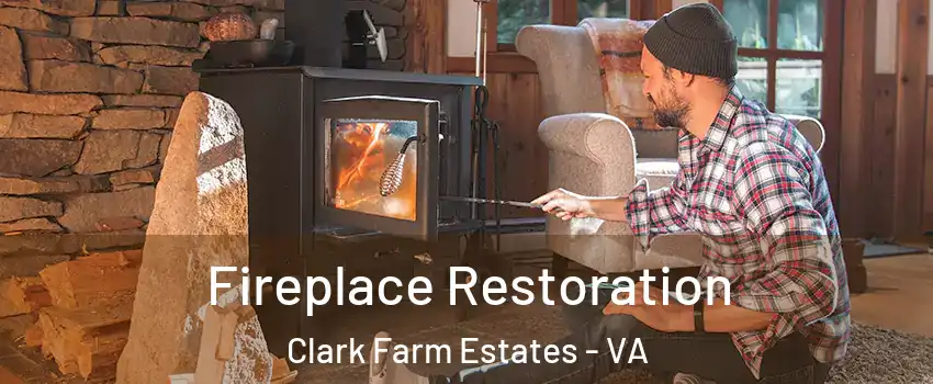 Fireplace Restoration Clark Farm Estates - VA