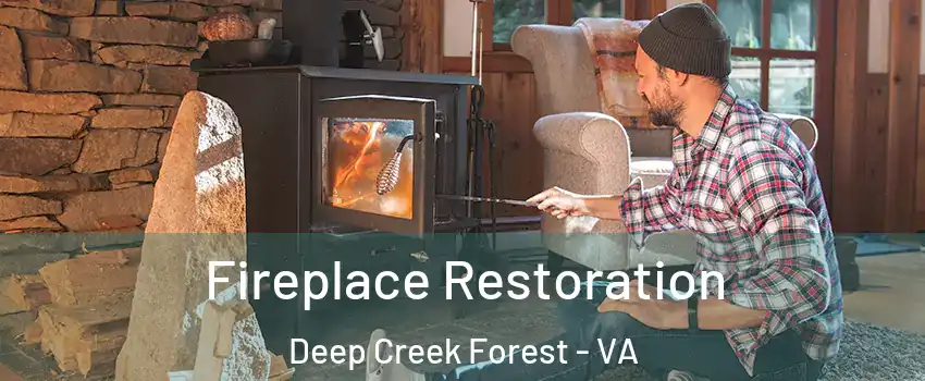 Fireplace Restoration Deep Creek Forest - VA